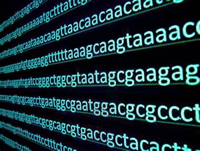 Gene DeCode Videos - Page 2 OIP(69)