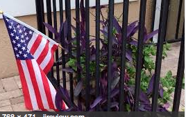 Video: Veteran Vows To continue Flying U.S. Flag Communist Homeowners Association Threatens TO Forclose
