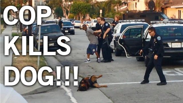 Cop Executes Dog, Owner Gets Citation