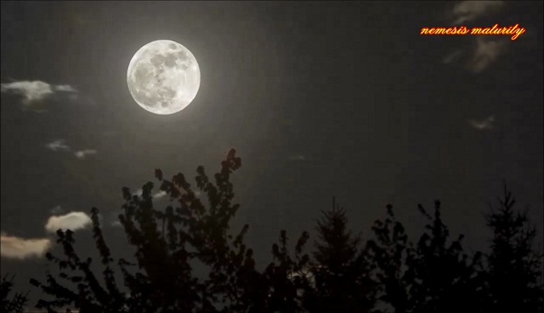 Don't Miss Out! See the Biggest Supermoon since 1948 - Once-in-a-lifetime Sky Event (Videos) 