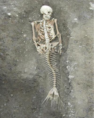 Mermaid Skeleton