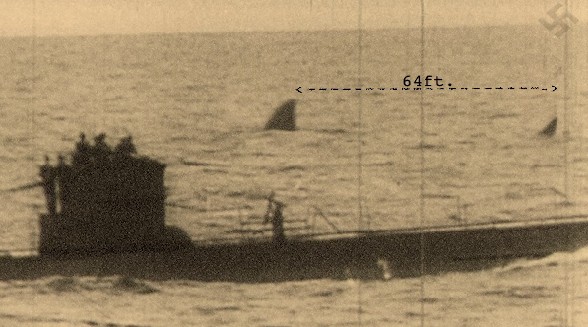 Huge Shark Beside German U Boat World War II