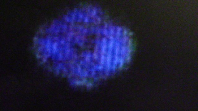 One of many alien Starships,or interdimensional craft,sat.10.jan.2016