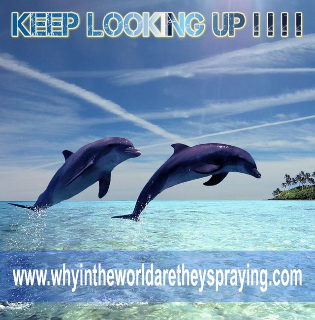 Keep Looking Up?