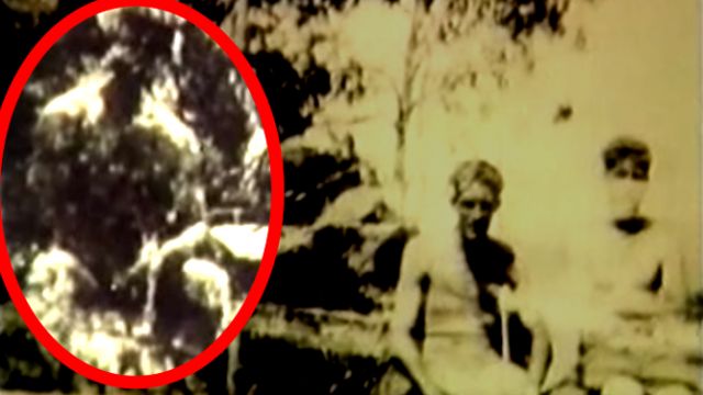 bigfoot yowie caught on camera caught on tape