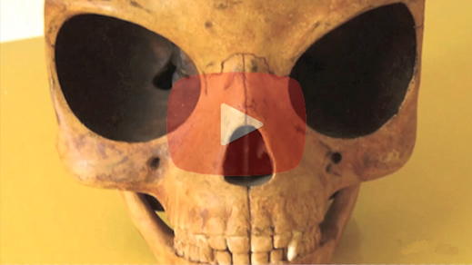 alien skull creepy mystery sealand skull