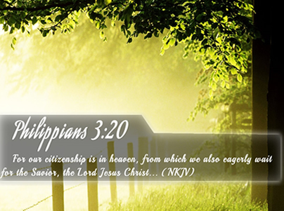  The Parable of the Vineyard