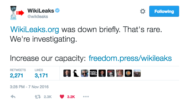 wikileaks website down