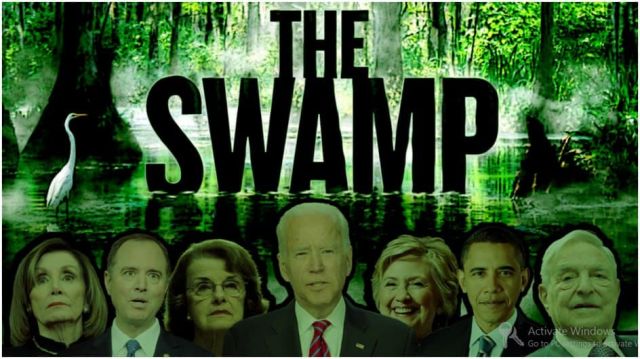 Trump, "I Caught the Swamp! I Caught Them All!" Now Comes the Pain! Must Watch Video