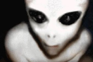 B4INREMOTE-aHR0cDovLzMuYnAuYmxvZ3Nwb3QuY29tLy1ReU5DVHZwZlRCay9VVXZ3THRJNkNiSS9BQUFBQUFBQUhGVS82Y0p0a1haSE5pcy9zMzIwL2EtZ3JleS1hbGllbi0zNDg5LmpwZw==