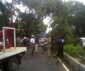 Cyclone_Nilam_Damage_photo_Chennai