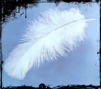 B4INREMOTE-aHR0cDovLzMuYnAuYmxvZ3Nwb3QuY29tLy01cUhzWExJQWQ0RS9VVTNIVTBDVE4ySS9BQUFBQUFBQUx2SS9ORUJkWUlSWHdxZy9zMjAwL3doaXRlLWZlYXRoZXItZnIuanBn