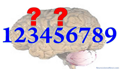 B4INREMOTE-aHR0cDovLzQuYnAuYmxvZ3Nwb3QuY29tLy1WTWZJaVBzQ21PSS9VR19LcGpKNHduSS9BQUFBQUFBQVk4ay9ZWjlGNmJ5NDVDby9zNDAwL2JyYWluLW51bWJlcnMtYmV0d2Vlbi0xLTktcHVibGljLmpwZw==