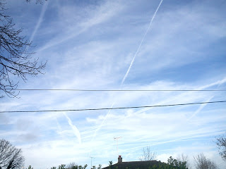B4INREMOTE-aHR0cDovLzMuYnAuYmxvZ3Nwb3QuY29tLy10TVloQXQtaUxhby9VTzhLazhzcWd4SS9BQUFBQUFBQUJONC9FWVEwWjVfVHdCMC9zMzIwL0RTQzAwMzY2LkpQRw==