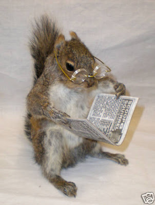 B4INREMOTE-aHR0cDovLzQuYnAuYmxvZ3Nwb3QuY29tLy01bXQza2U4TUlXQS9VUlJLbFJRa2trSS9BQUFBQUFBQWhxay84clA2Sk9JRUhUcy9zNDAwL3NxdWlycmVsK3JlYWRpbmcuanBn