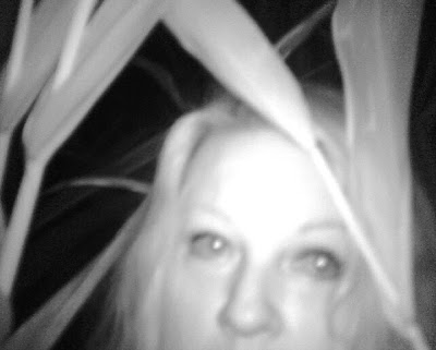 B4INREMOTE-aHR0cDovLzMuYnAuYmxvZ3Nwb3QuY29tLy1HMjFkYnVFMUxrSS9VSVFSVjduT2lPSS9BQUFBQUFBQVp0OC9WOWlweFNfWFN5Yy9zNDAwL1NoYXJvbkNvcm5TdHVmZi5qcGc=