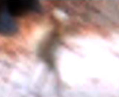 B4INREMOTE-aHR0cDovLzMuYnAuYmxvZ3Nwb3QuY29tLy1UMjdzeW5kYTRrYy9VUHhxVEc3ZGl1SS9BQUFBQUFBQVBWUS9mRFdLOUJkNGl4MC9zNjQwL3RpbnkrYWxpZW4rY2hpbGUrYmxvdyt1cC5KUEc=
