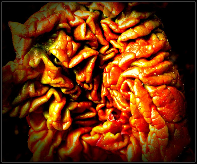B4INREMOTE-aHR0cDovLzQuYnAuYmxvZ3Nwb3QuY29tLy05Smxrd2I3YThacy9VVmc4bzBacTIwSS9BQUFBQUFBQXJLZy9fVkdOd09LMXg5WS9zNjQwL1JodWJhcmI0MTlBLmpwZw==