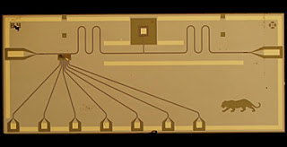 B4INREMOTE-aHR0cDovLzMuYnAuYmxvZ3Nwb3QuY29tLy1nNzVzMXo0ZEVjMC9VSUpUMXFGU285SS9BQUFBQUFBQWNzRS9GN3pUVVFGM0pyRS9zMzIwL3F1YW50dW1idXMuanBn