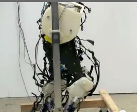 B4INREMOTE-aHR0cDovLzIuYnAuYmxvZ3Nwb3QuY29tLy1aX3VZU0FnNkpmMC9UX1pCVm5jTUg2SS9BQUFBQUFBQUdHYy9fS0dEekRTby1CSS9zNDAwL2xlZ3MuSlBH