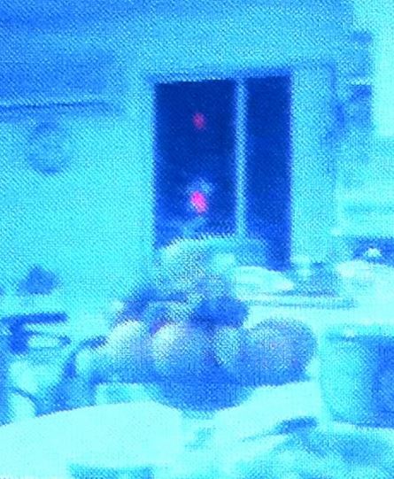 B4INREMOTE-aHR0cDovLzMuYnAuYmxvZ3Nwb3QuY29tLy1fRmt3b1o2RkQzZy9VVkVkQTN2UnY2SS9BQUFBQUFBQVRzWS9SdUJ5Z0F4eE05SS9zNjQwL2FsaWVuK2JhYnkrbW9uaXRvciszLkpQRw==