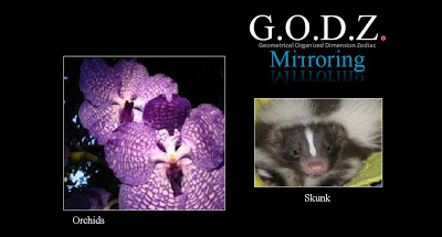 B4INREMOTE-aHR0cDovLzIuYnAuYmxvZ3Nwb3QuY29tLy1ORkNuSFBIdWhrTS9VT1FrRDJYZFI3SS9BQUFBQUFBQW00VS85dWYxOFVZLTF6WS9zNDAwL0dPRForbWlycm9yaW5nKy0rRmFjZWQrb3JjaGlkcystK1NrdW5rKystK29yY2hpZC5KUEc=