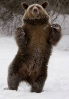 B4INREMOTE-aHR0cDovLzQuYnAuYmxvZ3Nwb3QuY29tLy1yYUNFMzNYeWxZVS9VQnFjczNhTmlRSS9BQUFBQUFBQUNXWS9VRDI5VmQya1N3QS9zMjAwLyVEMCU5MSVEMCVCRSVEMSU4MCVEMCVCOCVEMSU4MTMuanBn