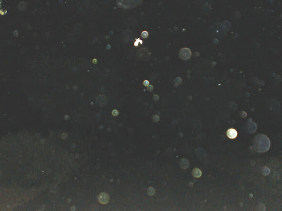 B4INREMOTE-aHR0cDovLzEuYnAuYmxvZ3Nwb3QuY29tLy1IQWVUU2VYNVpMVS9VR3NrTWpRaDV3SS9BQUFBQUFBQVlscy9WZ3FscnNpdUpXWS9zNDAwL01vdGguanBn
