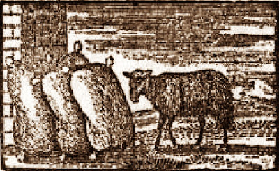 B4INREMOTE-aHR0cDovLzMuYnAuYmxvZ3Nwb3QuY29tLy11TTVEQ0VRVjNUSS9VVG44TUZ1UExHSS9BQUFBQUFBQUxuYy94UzZLVnVOZU5UUS9zNDAwL2JhYS1iYWEtYmxhY2stc2hlZXAuanBn
