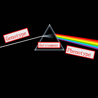 B4INREMOTE-aHR0cDovLzMuYnAuYmxvZ3Nwb3QuY29tLy1SMU5Ob2xkRF8tMC9VTVNHQV9EbEsySS9BQUFBQUFBQURacy9IMEZ0MW4yTWg0by9zMzIwL0NhcmVmdWwrd2l0aCt3aGF0K3lvdSthc2ssK3RoYXQrZ2VuZS4uanBn