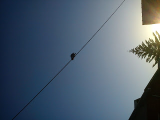 B4INREMOTE-aHR0cDovLzMuYnAuYmxvZ3Nwb3QuY29tLy1ncU1qVll4Y2x5US9VTVVHdEQxcjNmSS9BQUFBQUFBQUctMC9Ma2ZwNk5FbEpQYy9zMzIwLzIwMTItMTItMTAlMkI2LjMyLjAyLTc4ODA2My5qcGc=