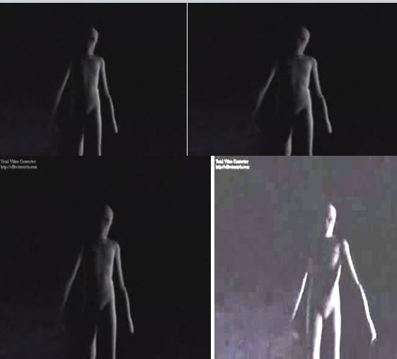 B4INREMOTE-aHR0cDovLzIuYnAuYmxvZ3Nwb3QuY29tLy1xNzdFVG1NYURIWS9VTGExVEdGVGllSS9BQUFBQUFBQUtOdy9aTURIU1hwYVJSby9zNjQwL2FsaWVuKzQrdGFrZXMuSlBH