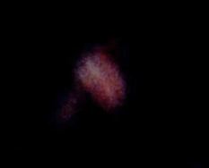 B4INREMOTE-aHR0cDovLzEuYnAuYmxvZ3Nwb3QuY29tLy1USFpnU0VYU1lEWS9VTmYxMVJPMmxwSS9BQUFBQUFBQU1hby9hc2NyN2dkT0o3QS9zNjQwL2lzcytzdHJhbmdlK29yYW5nZStVRk8uSlBH
