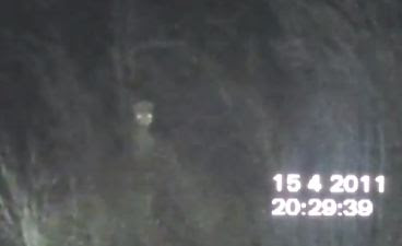 B4INREMOTE-aHR0cDovLzIuYnAuYmxvZ3Nwb3QuY29tLy04eUplYXd5Z2FKOC9VTzZGczJHMV9LSS9BQUFBQUFBQU95ay9mV3JhMjBiNzA5by9zNDAwL2F1c3NpZWFsaWVuMy5KUEc=