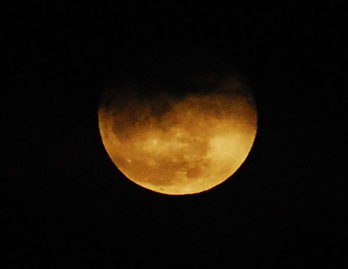 full+moon+yellow+2.3 +Bad+Moon+Rising BAD MOON RISING