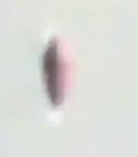 B4INREMOTE-aHR0cDovLzEuYnAuYmxvZ3Nwb3QuY29tLy15d2dINHRoS0ROVS9VTTZhbjdjaUc4SS9BQUFBQUFBQUxmVS96akwwNmZjY3M5Zy9zMjAwL3Vmbyttb3JwaGluZys0LkpQRw==