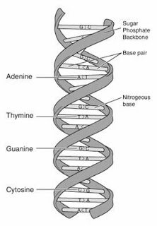 B4INREMOTE-aHR0cDovLzMuYnAuYmxvZ3Nwb3QuY29tL19ObmphWFdVWm8ycy9UTEdqNHc2aHU5SS9BQUFBQUFBQUF5NC9CYlBWdW5rNHNCSS9zMzIwLzA2OWYxNmJhOTVhZS5qcGc=