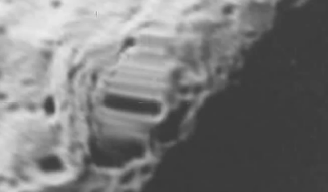B4INREMOTE-aHR0cDovLzEuYnAuYmxvZ3Nwb3QuY29tLy1ia2dCOXRQMllBby9VbE9PX2JuX0xVSS9BQUFBQUFBQVZIay9Gc0oxYkU2eng5US9zNjQwL2NyYXdsZXIrbGFyZ2UucG5n