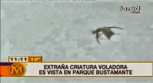 B4INREMOTE-aHR0cDovLzMuYnAuYmxvZ3Nwb3QuY29tLy1VWVNNSXBRbUVVRS9VbFlUdEl6YXh3SS9BQUFBQUFBQVNUay9SSnlOTV9BTFJMZy9zNjQwL1VGTywrVUZPcywrY3JlYXR1cmUsK2FsaWVuLCthbGllbnMsK0VULCtzcGFjZSwrZHJhZ29uLCtwYXJhbm9ybWFsLCtzaWdodGluZywrc2lnaHRpbmdzLCtSaWhhbm5hLCtyZXBvcnQsK2xhdGVzdCwrbmV3cywrQ2hpbGUsK21vbnN0ZXIsK2ZseWluZywrU2VwdCwrMjAxMywrSnVzdGluK0JpZWJlciwrU2VsZW5hK0dvbWV6LCtydW1vcnMsK0NOTiwrQ05CQywrRm94LCsxLmpwZw==