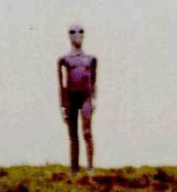 B4INREMOTE-aHR0cDovLzIuYnAuYmxvZ3Nwb3QuY29tLy0xZHA1M2FBakdGOC9VbjNQMlE1eEl4SS9BQUFBQUFBQVZ5VS9rZHpZTWVyR3plcy9zNDAwL3RhbGwrYWxpZW4rYXJnZW50aW5hKzJhLmpwZw==