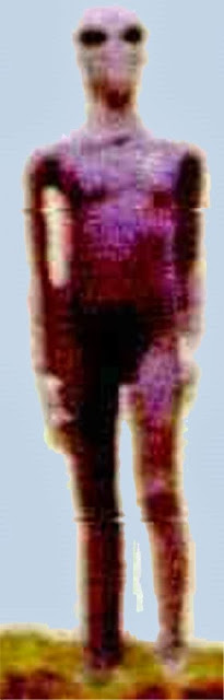 B4INREMOTE-aHR0cDovLzIuYnAuYmxvZ3Nwb3QuY29tLy1nZUEzQ1Y2aW1nTS9VbjNOV2RJenJhSS9BQUFBQUFBQVZ4by9uZU9HTVRuSTBvOC9zNjQwL3RhbGwrYWxsZW4rYWdlbnRpbmEuanBn