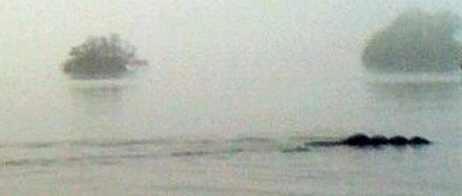 B4INREMOTE-aHR0cDovLzQuYnAuYmxvZ3Nwb3QuY29tLy1sbExYQlhSNTd4US9VcFFESVNYQ2swSS9BQUFBQUFBQVdPOC80c1h5RHBpajc1RS9zNjQwL3BpY2tlbHMrbW9uc3Rlci5QTkc=