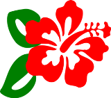 B4INREMOTE-aHR0cDovLzEuYnAuYmxvZ3Nwb3QuY29tLy1teFBNTmM4aUxoTS9VdjM5c25yX3pRSS9BQUFBQUFBQURuMC9iNGZxT0p0cS1lby9zMTYwMC9yZWQtaGliaXNjdXMtbWQucG5n