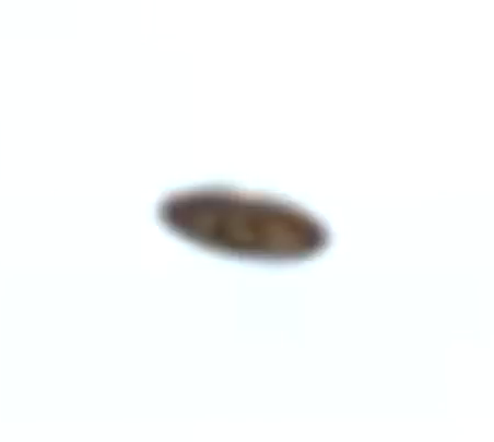 B4INREMOTE-aHR0cDovLzMuYnAuYmxvZ3Nwb3QuY29tLy14elpITEVvbHgycy9VNV9GSUVzcllxSS9BQUFBQUFBQVY5VS9iOEswbWhIeVMwNC9zMTYwMC9VRk8sK1ZXLCtVRk9zLCtzdW4sK3NvbGFyLCtzb2hvLCt0b3Arc2VjcmV0LCthbGllbiwrYWxpZW5zLCtFVCwraGFydmVzdCwrZW5lcmd5LCtjbGFzc2lmaWVkLCtVU0FGLCt0cjNiLCthcmVhKzUxLCtBbmdlbGluYStKb2xpZSwrSnVzdGluK0JlaWJlciwrb2RkLCtzdHJhbmdlLCtuZXdzLCthc3Ryb25vbXksK3BhcmFub3JtYWwsK3RlY2gsK3RlY2hub2w0K2Nvb2wsK3J1c3NpYSwrMjAxNC0wNi0xNythdCsxMi4zMi4wOStQTS5wbmc=