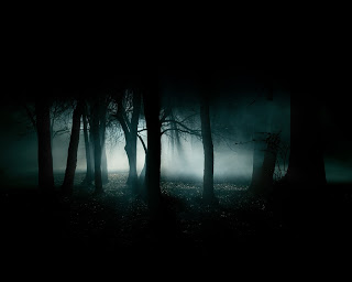 B4INREMOTE-aHR0cDovLzQuYnAuYmxvZ3Nwb3QuY29tLy1fc1FIblpyVG90OC9UWWEtT2Q3aTdJSS9BQUFBQUFBQUZKVS9oOEVYSW9EOU1tRS9zMzIwL2RhcmstZm9yZXN0LTM1ODM2LmpwZw==