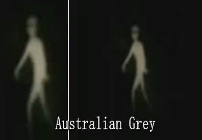 B4INREMOTE-aHR0cDovLzIuYnAuYmxvZ3Nwb3QuY29tL19GMkFyVkNXZHAzRS9TMkJxMm5RNTdtSS9BQUFBQUFBQUVISS9UajFVRTlTcUptRS9zNDAwL2FsaWVuZ3JleS5ibXA=