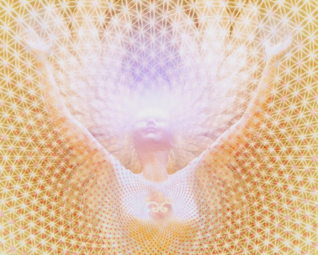 B4INREMOTE-aHR0cDovLzMuYnAuYmxvZ3Nwb3QuY29tLy1YYkNhVUtsVlAxOC9WRE1MMi1XRldHSS9BQUFBQUFBQWhHRS9xQ1RvRnFwQnFTSS9zNjQwL0Zsb3dlcjQ0NDQuanBn