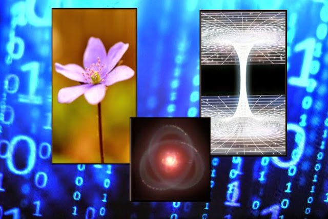 B4INREMOTE-aHR0cDovLzMuYnAuYmxvZ3Nwb3QuY29tLy1UeDk5SmJfXzVWRS9WRmRMQ2tjVU9lSS9BQUFBQUFBQWlDdy9Zdkdiajg0TW1Dcy9zNjQwL21hdHJpeC5qcGc=