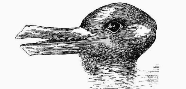 B4INREMOTE-aHR0cDovLzMuYnAuYmxvZ3Nwb3QuY29tLy02Rms2MWN2SEJXUS9WVGxuaXJ3OE9ISS9BQUFBQUFBQW5HWS9wVi1WSFhXcnNBQS9zNjQwL2R1Y2stdnMtcmFiaXQuanBn