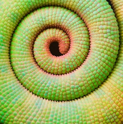 B4INREMOTE-aHR0cDovLzEuYnAuYmxvZ3Nwb3QuY29tLy1YSUJUM2wzVS1HWS9WVVNZTGdWTWRkSS9BQUFBQUFBQW5WYy8xUEZROGRhZjlXUS9zNjQwL3NncGljMi5qcGc=